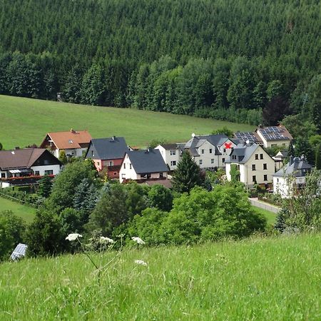 Ferienwohnung "Am Vaterlandsgrubenweg" Oelsnitz  المظهر الخارجي الصورة